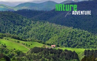 Логотип «Nature for Adventure»