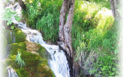 Croatia, Plitvice waterfalls